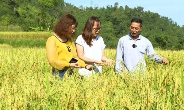 'Clement weather, favorable terrain' to develop organic agriculture